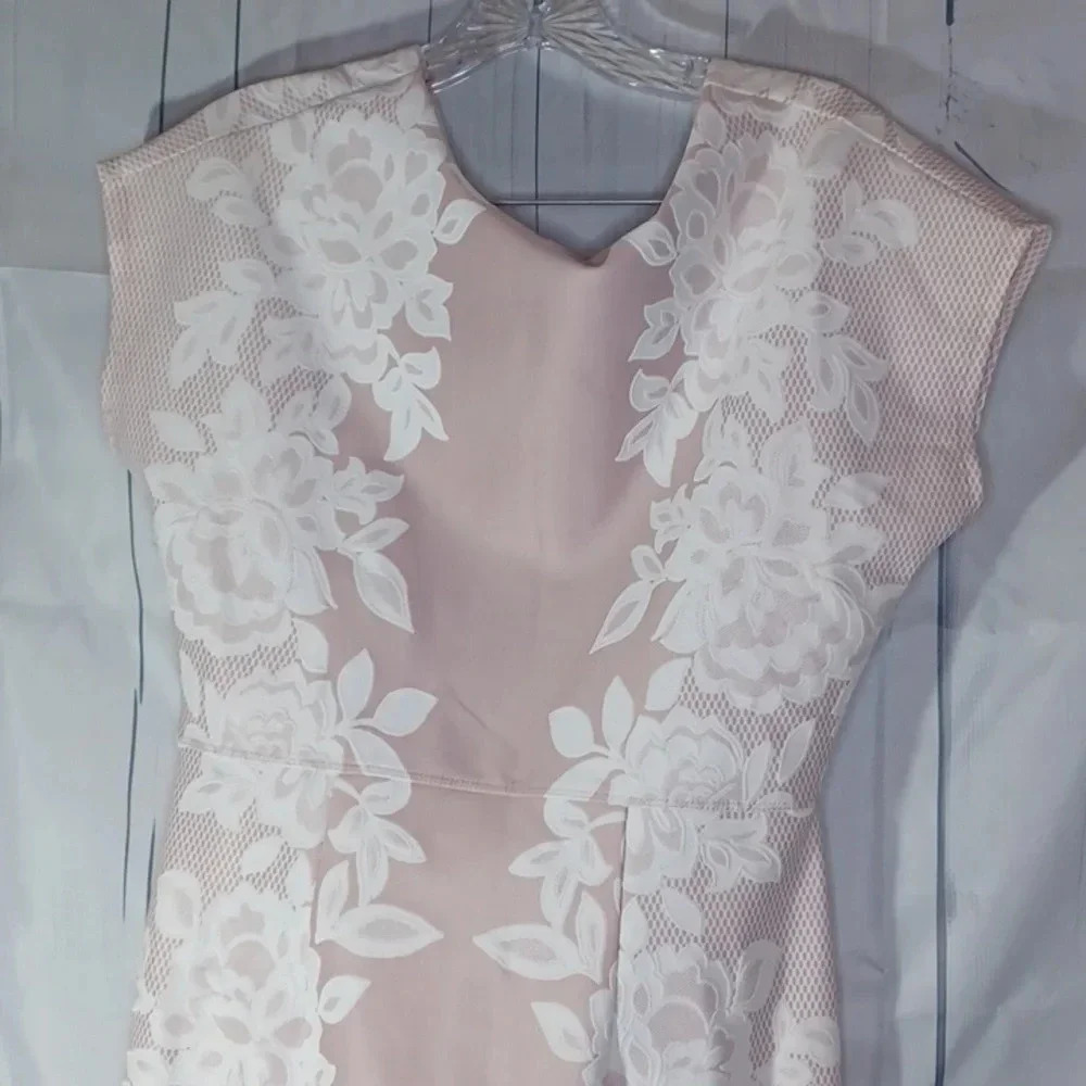 Enfocus Studio Pink and White Lace Sheath dress - Picture 3 of 9